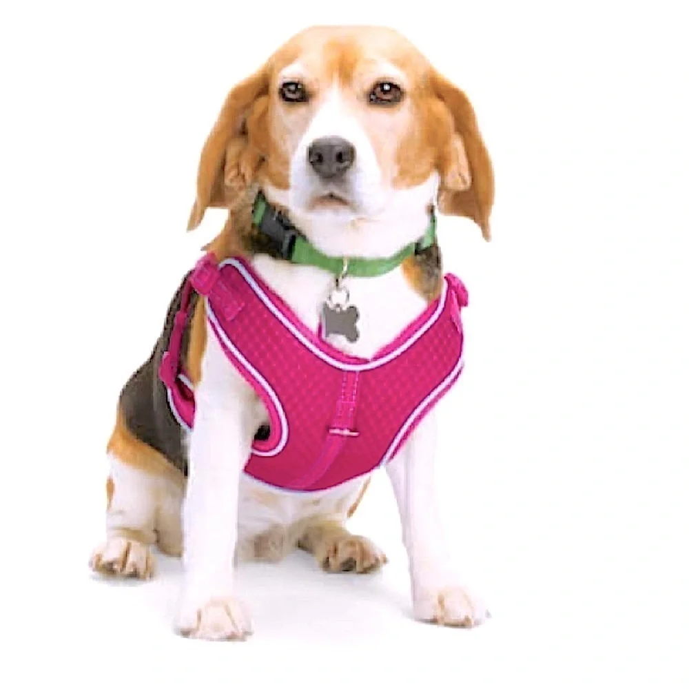 🆕 EVERYAY Pink Reflective Trim Dog Harness EMBRACE THE PACE SIZE XS / S